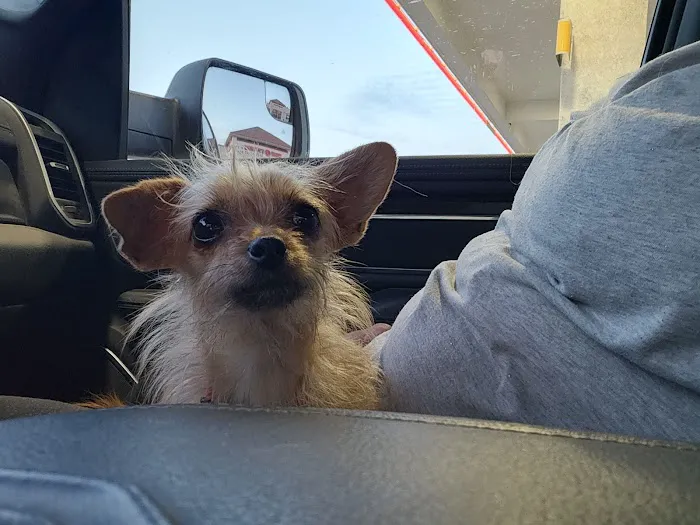 Banfield Pet Hospital 12
