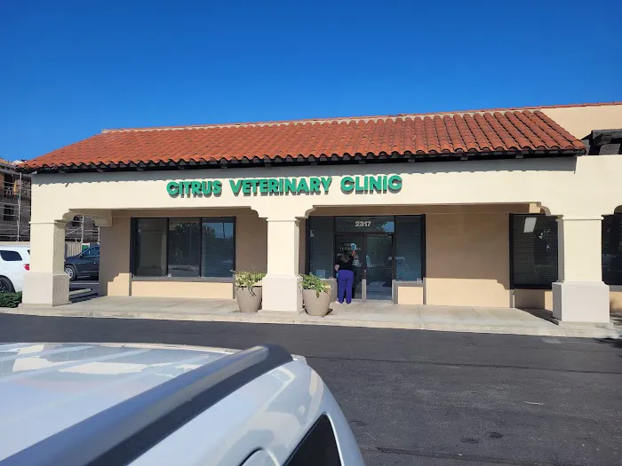 Citrus Veterinary Clinic 12