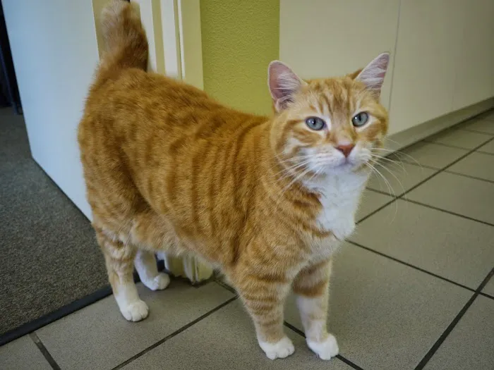 Citrus Veterinary Clinic 12