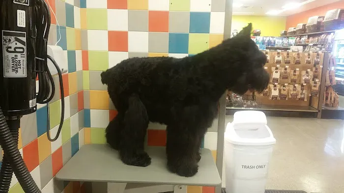 Petco Vaccination Clinic 2