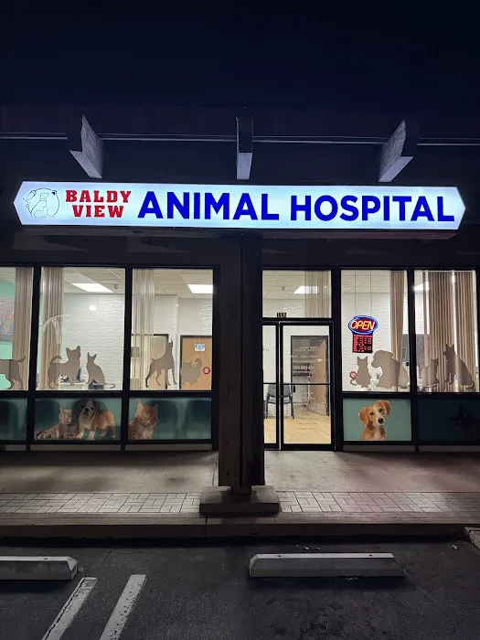 Baldy View Animal Hospital 12