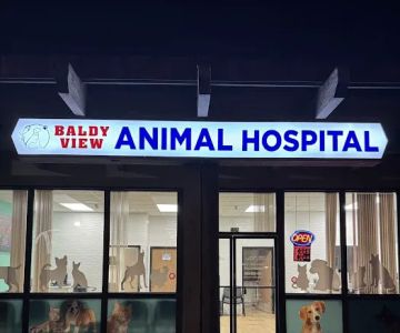 Baldy View Animal Hospital