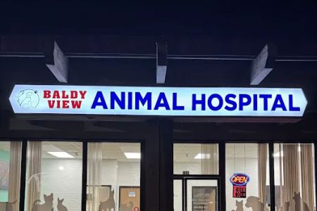 Baldy View Animal Hospital