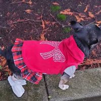 Baldy View Animal Hospital: Bobek Michael A DVM ico