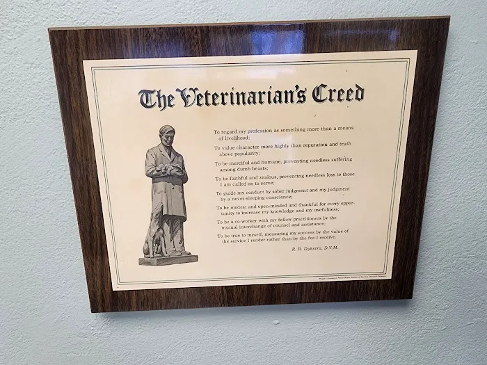 City Pet Hospital 12