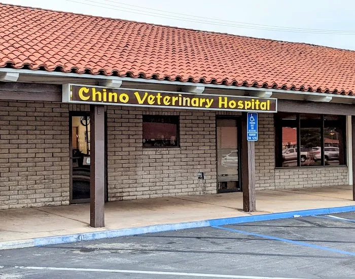 Chino Veterinary Hospital 12