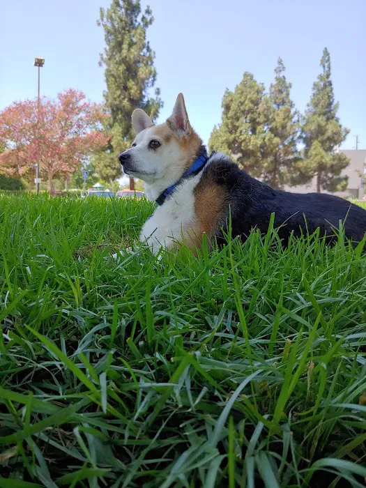 Chino Veterinary Hospital 12