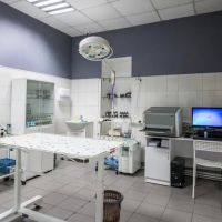 Ontario animal clinic ico