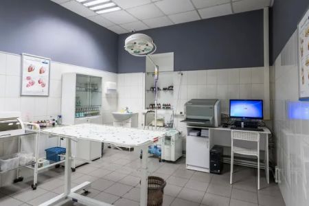 Ontario animal clinic