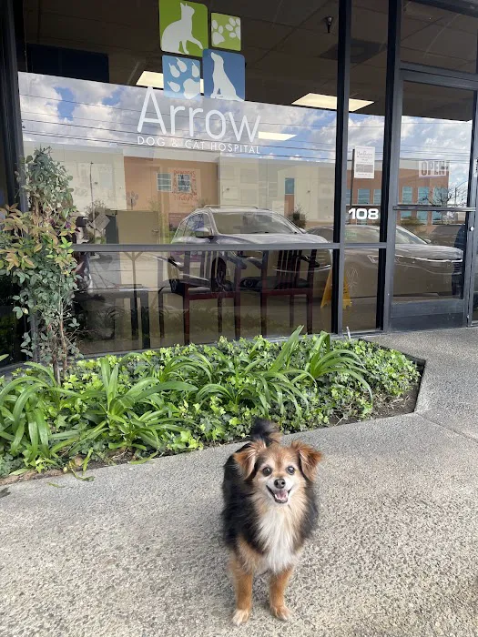 Arrow Dog And Cat Hospital 7