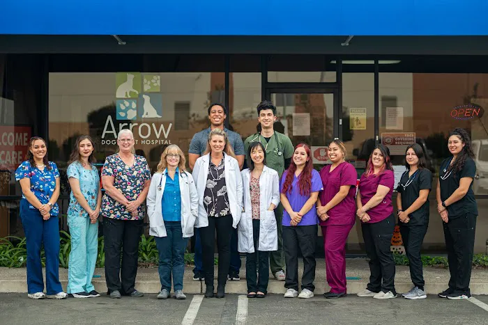 Arrow Dog And Cat Hospital 9