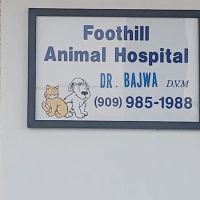 Veterinarian ico