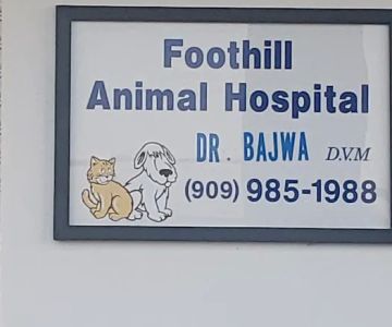 Veterinarian