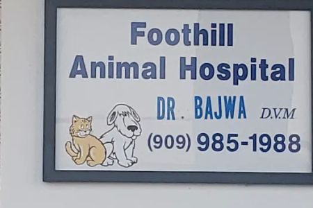 Veterinarian