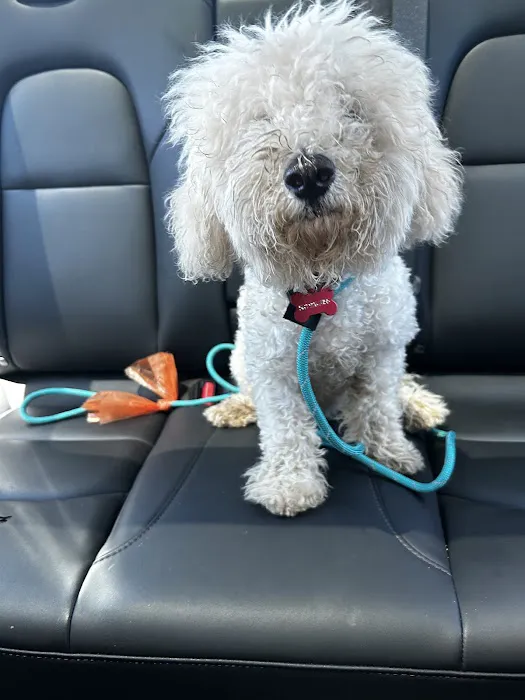 Priceless Pets Rescue- Vet Clinic 6
