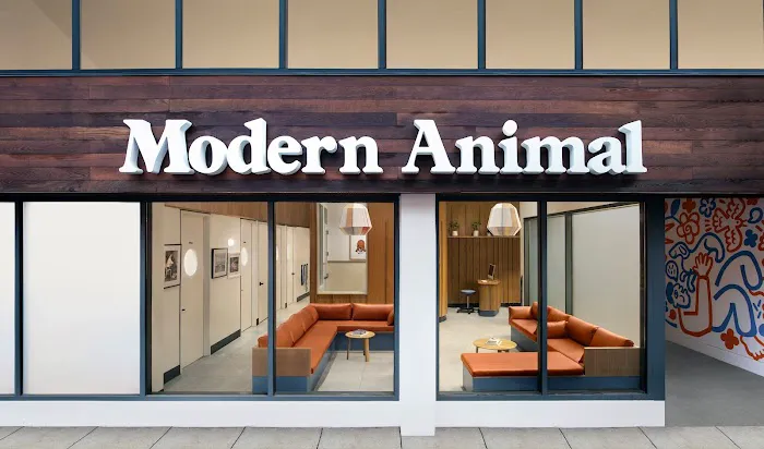 Modern Animal 3