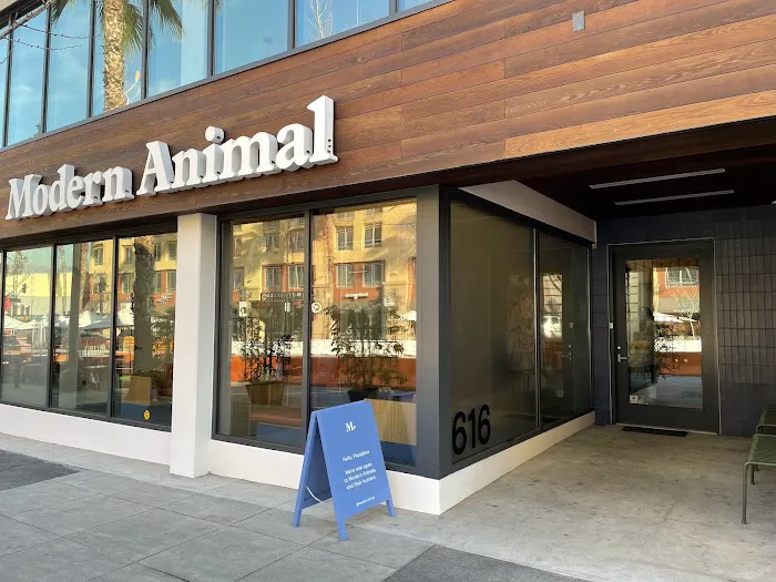 Modern Animal 6