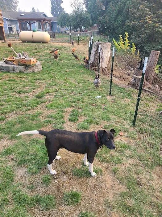 Northwest Veterinary Clinic 12