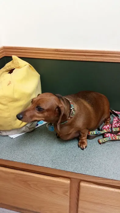 Northwest Veterinary Clinic 12