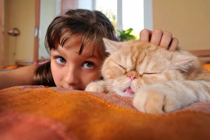 Veterinary Center Family Pet Care 7