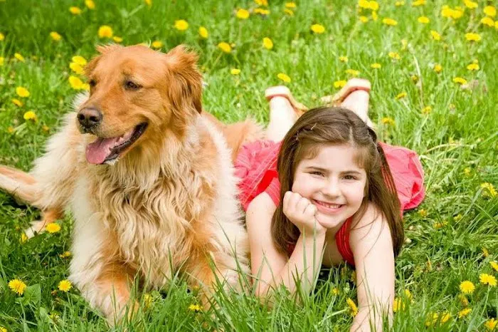 Veterinary Center Family Pet Care 4