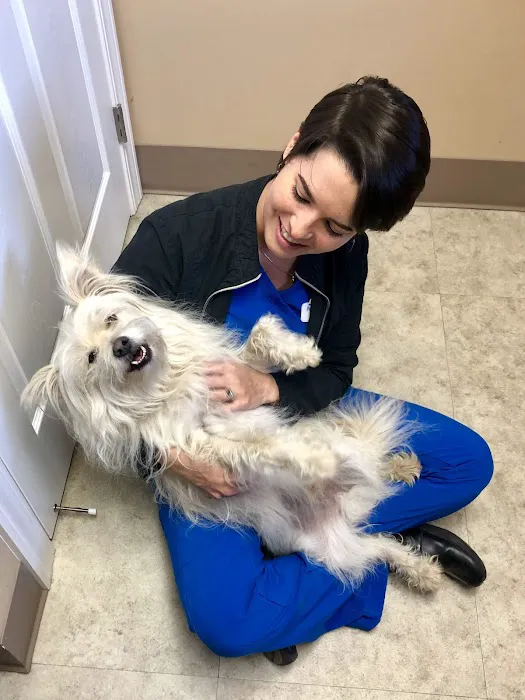 Pet Townsend Veterinary Clinic 1