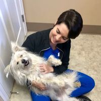 Pet Townsend Veterinary Clinic ico