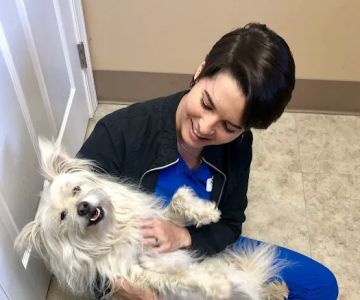 Pet Townsend Veterinary Clinic