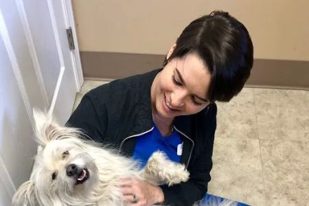 Pet Townsend Veterinary Clinic