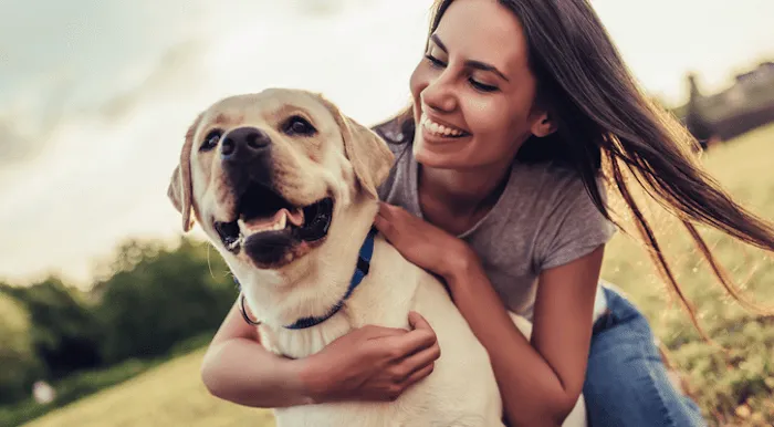 Pet Townsend Veterinary Clinic 4