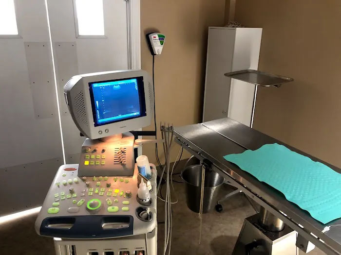 Pet Townsend Veterinary Clinic 7