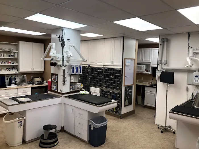 Pet Townsend Veterinary Clinic 10