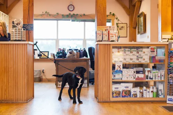 Penn Cove Veterinary Clinic 12