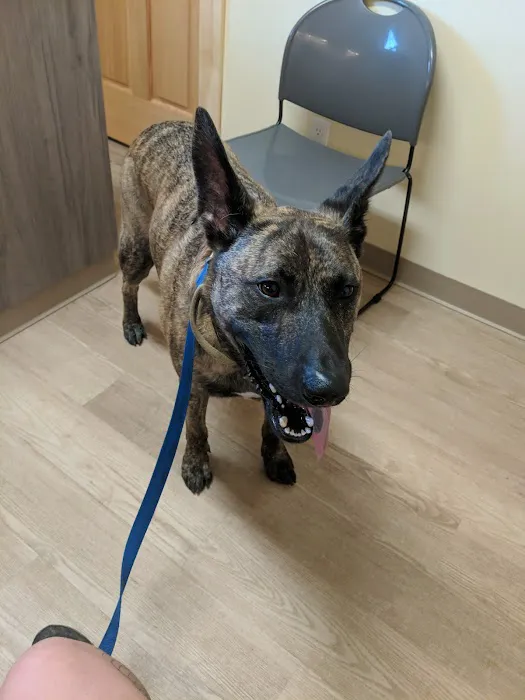 Penn Cove Veterinary Clinic 12