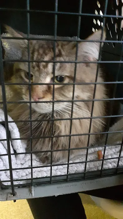 Vets Animal Hospital 12