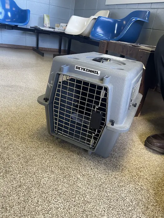 Vets Animal Hospital 12