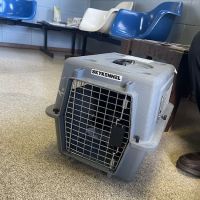 Vets Animal Hospital ico