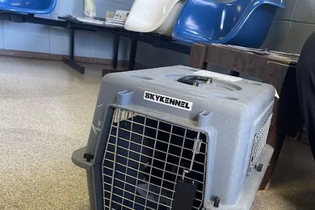 Vets Animal Hospital
