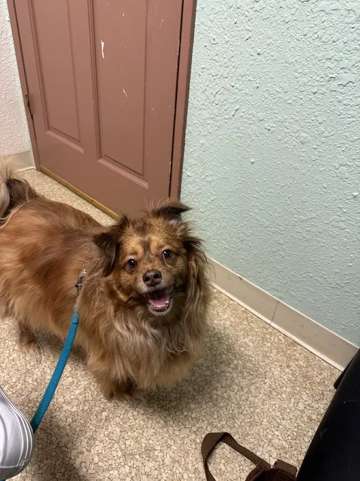 Camano Veterinary Clinic 4