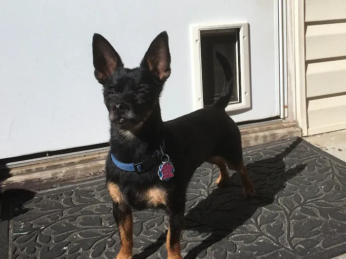 Camano Veterinary Clinic 9