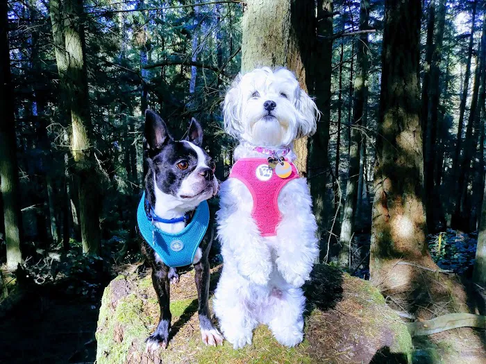 North Whidbey Veterinary Hospital: Mangiameli John J DVM 12