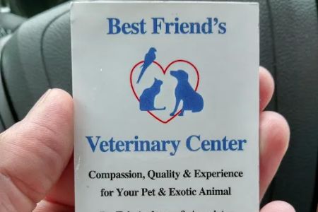 Best Friend's Veterinary Center - Dr Eric Anderson
