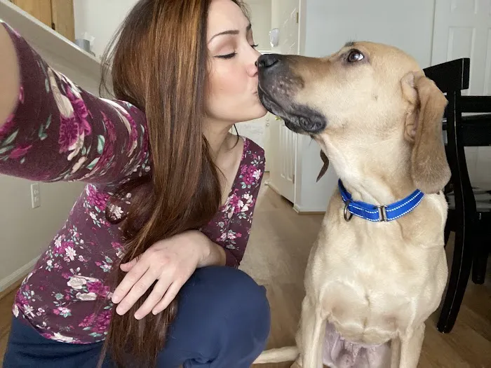 Best Friend's Veterinary Center 12
