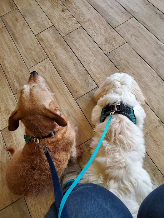 Best Friend's Veterinary Center 12
