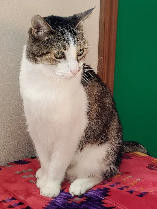 Apple Tree Cove Animal Hospital 6