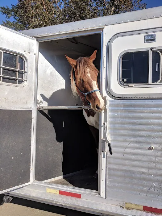 Sound Equine Veterinary Hospital 12