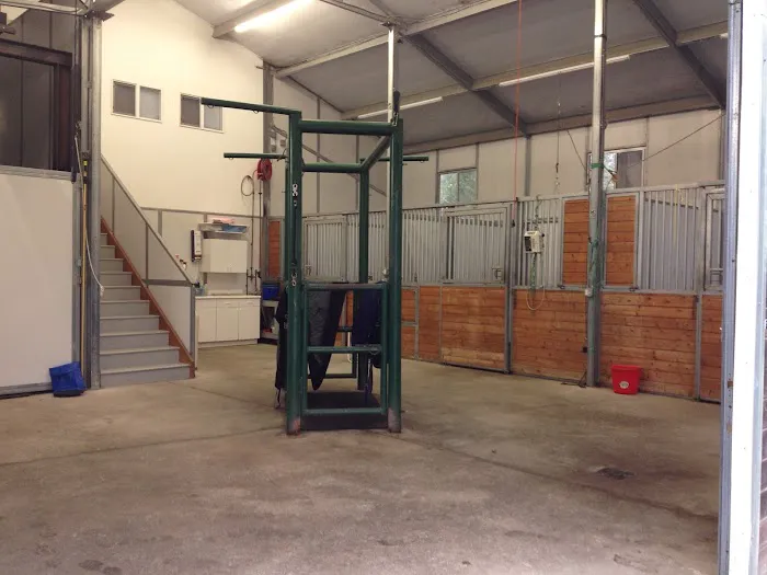 Sound Equine Veterinary Hospital 12