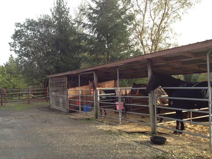 Sound Equine Veterinary Hospital 12
