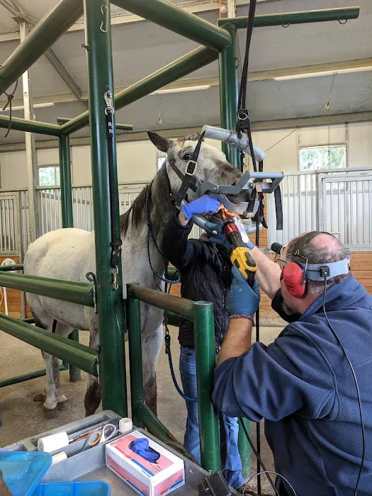 Sound Equine Veterinary Hospital 12
