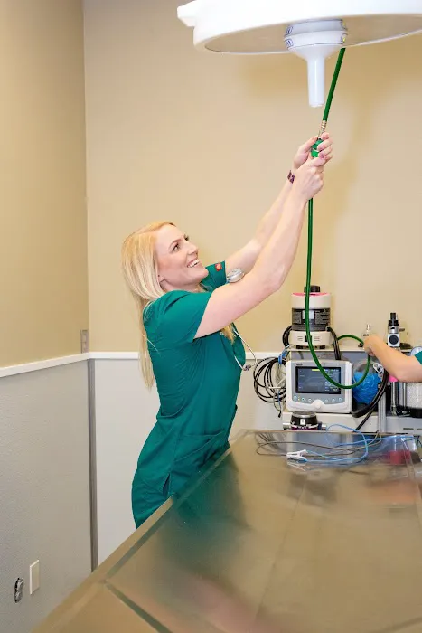 Clifton Hollow Animal Hospital 12